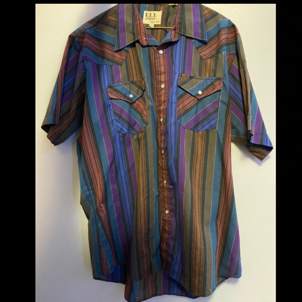 Blue, Purple, and Brown Button Down Striped Shirt